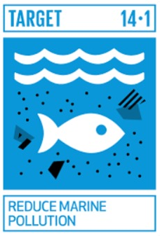 sustainable development