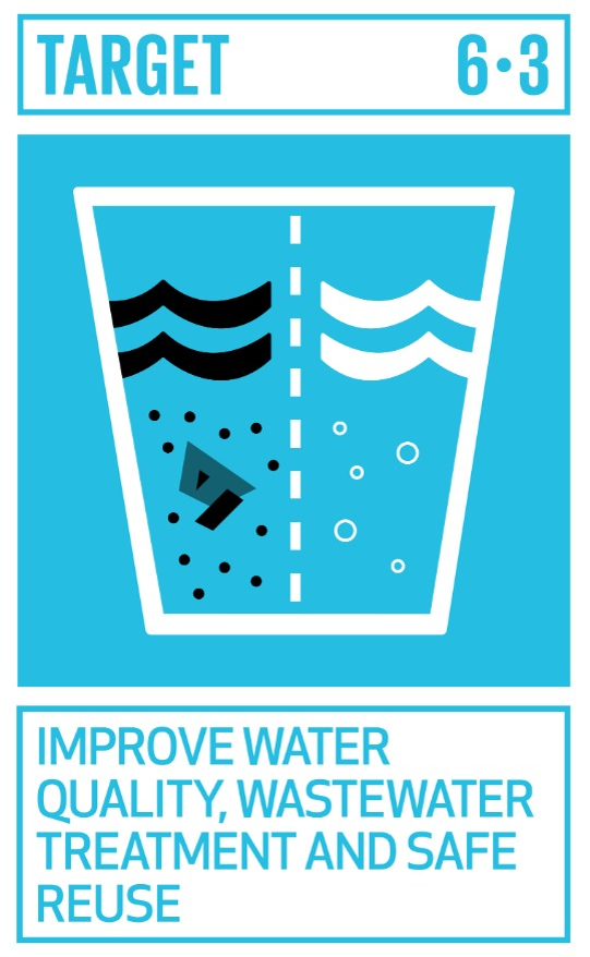 sustainable development